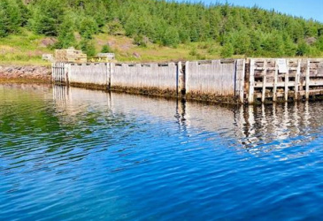 0 MAIN ROAD, DEER HARBOUR, Newfoundland, Canada A0C 1P0, ,0,Residential,For Sale,MAIN ROAD,6081