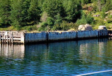 0 MAIN ROAD, DEER HARBOUR, Newfoundland, Canada A0C 1P0, ,0,Residential,For Sale,MAIN ROAD,6081