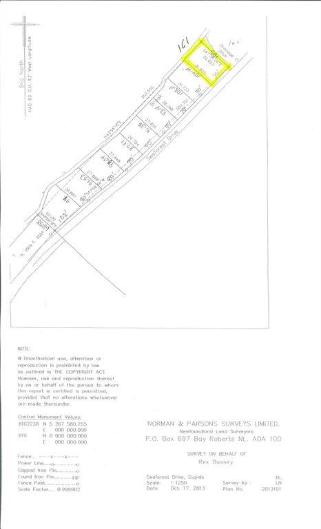161 SEAFOREST DRIVE, CUPIDS, Newfoundland, Canada A0A 2B0, ,0,Land,For Sale,SEAFOREST DRIVE,6083