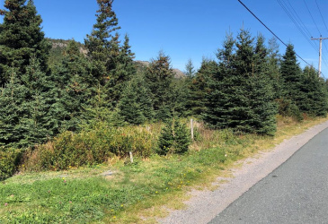 161 SEAFOREST DRIVE, CUPIDS, Newfoundland, Canada A0A 2B0, ,0,Land,For Sale,SEAFOREST DRIVE,6083 161 SEAFOREST DRIVE, CUPIDS, Newfoundland, Canada A0A 2B0, ,0,Land,For Sale,SEAFOREST DRIVE,6083