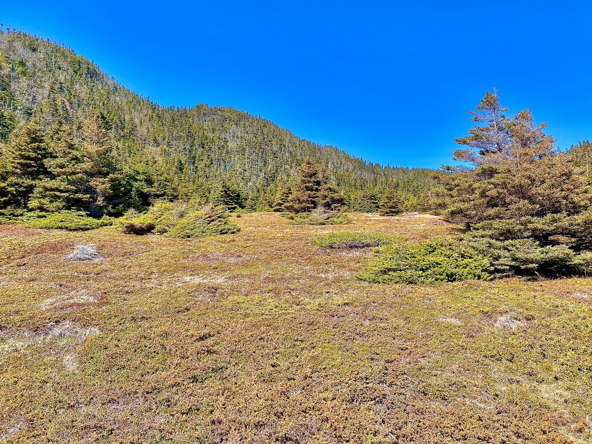 0 (A) FORT POINT ROAD, TRINITY, Newfoundland, Canada A0C 2S0, ,0,Land,For Sale,FORT POINT ROAD,6085