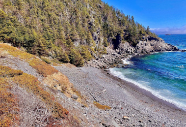 0 (A) FORT POINT ROAD, TRINITY, Newfoundland, Canada A0C 2S0, ,0,Land,For Sale,FORT POINT ROAD,6085