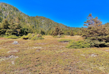 0 (A) FORT POINT ROAD, TRINITY, Newfoundland, Canada A0C 2S0, ,0,Land,For Sale,FORT POINT ROAD,6085