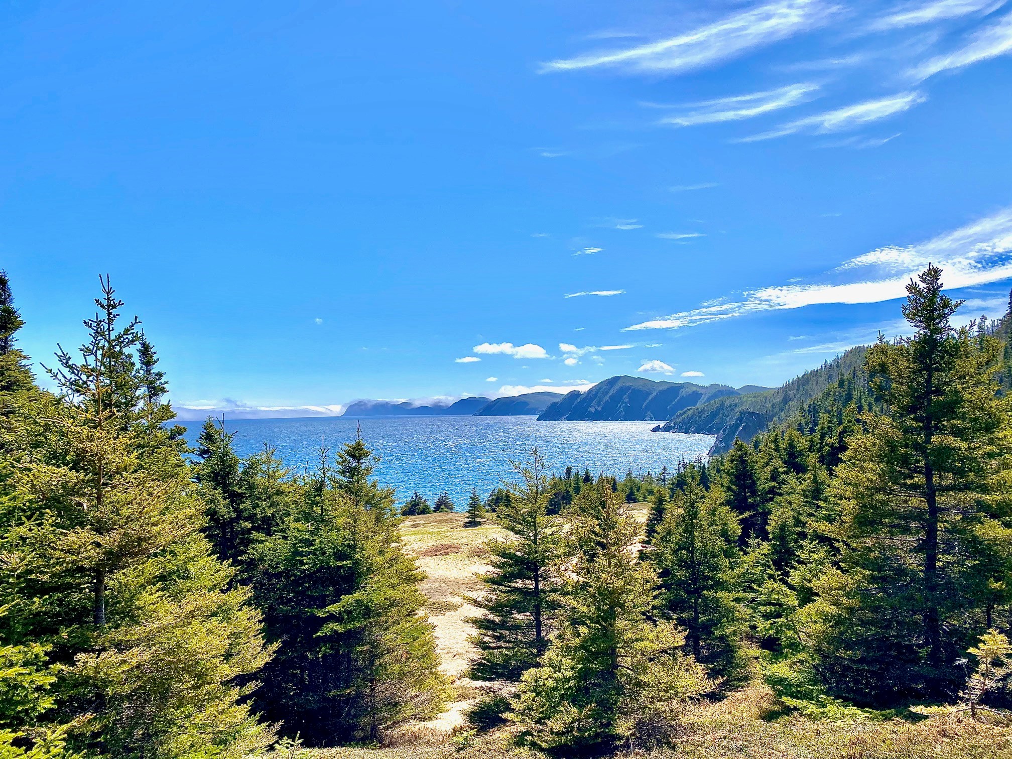 0 (B) FORT POINT ROAD, TRINITY, Newfoundland, Canada A0C 2S0, ,0,Land,For Sale,FORT POINT ROAD,6086