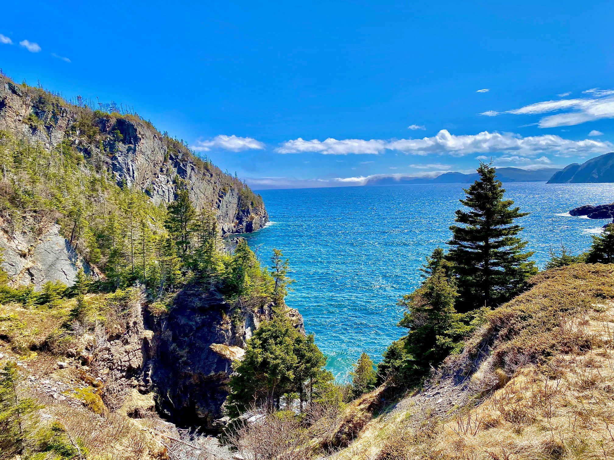 0 (B) FORT POINT ROAD, TRINITY, Newfoundland, Canada A0C 2S0, ,0,Land,For Sale,FORT POINT ROAD,6086