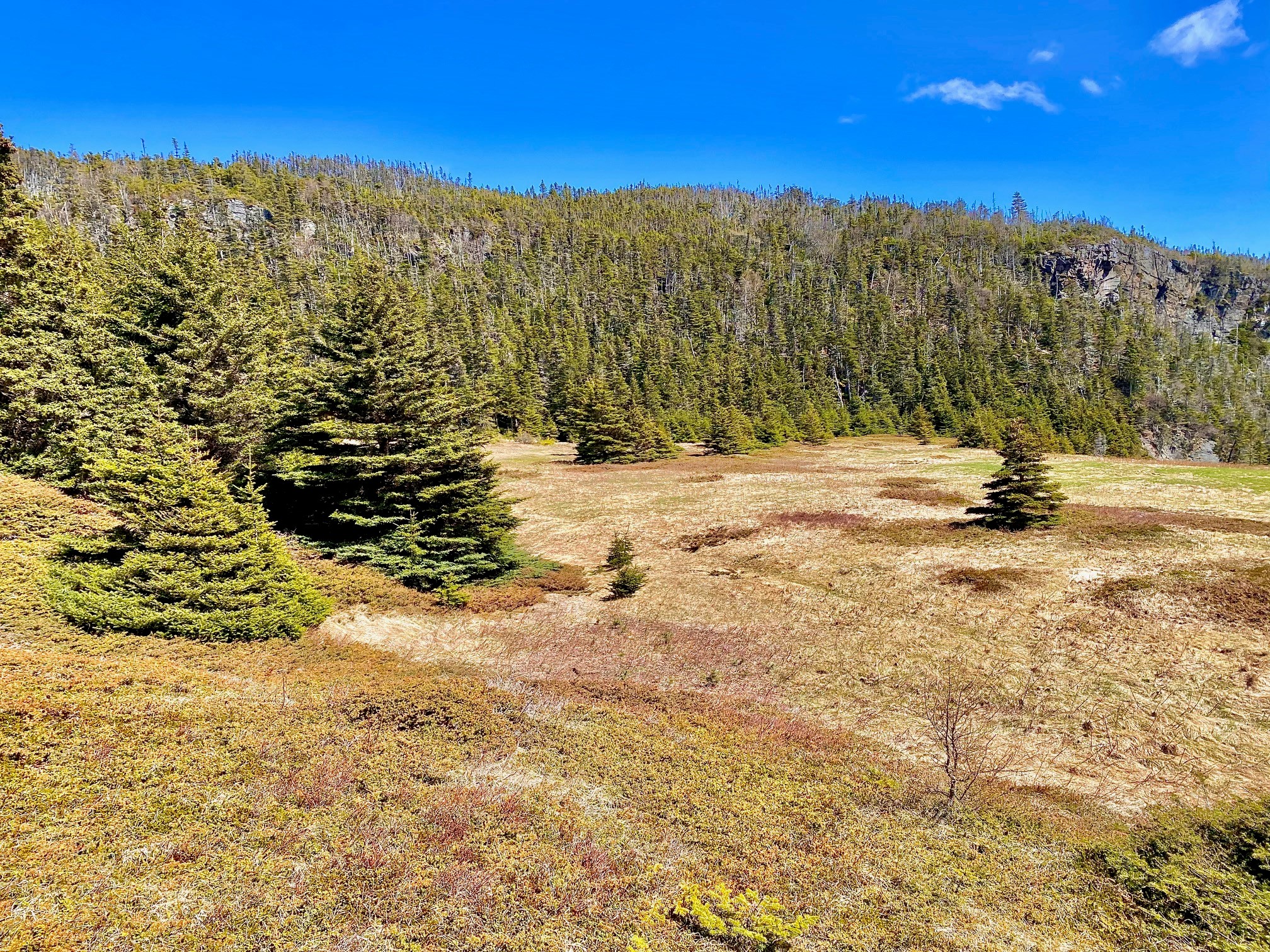 0 (B) FORT POINT ROAD, TRINITY, Newfoundland, Canada A0C 2S0, ,0,Land,For Sale,FORT POINT ROAD,6086