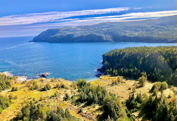 0 (B) FORT POINT ROAD, TRINITY, Newfoundland, Canada A0C 2S0, ,0,Land,For Sale,FORT POINT ROAD,6086