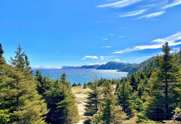 0 (B) FORT POINT ROAD, TRINITY, Newfoundland, Canada A0C 2S0, ,0,Land,For Sale,FORT POINT ROAD,6086