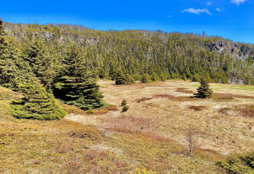 0 (B) FORT POINT ROAD, TRINITY, Newfoundland, Canada A0C 2S0, ,0,Land,For Sale,FORT POINT ROAD,6086