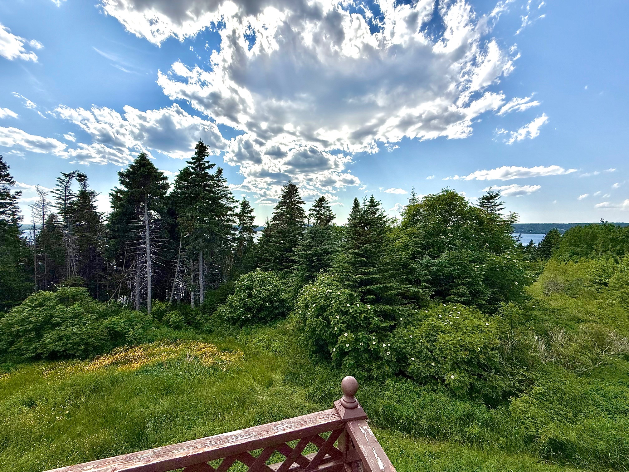 33 OCEANVIEW CRESCENT, BROOKLYN, Newfoundland, Canada A0C 1V0, ,1 BathroomBathrooms,Residential,For Sale,OCEANVIEW CRESCENT,6087