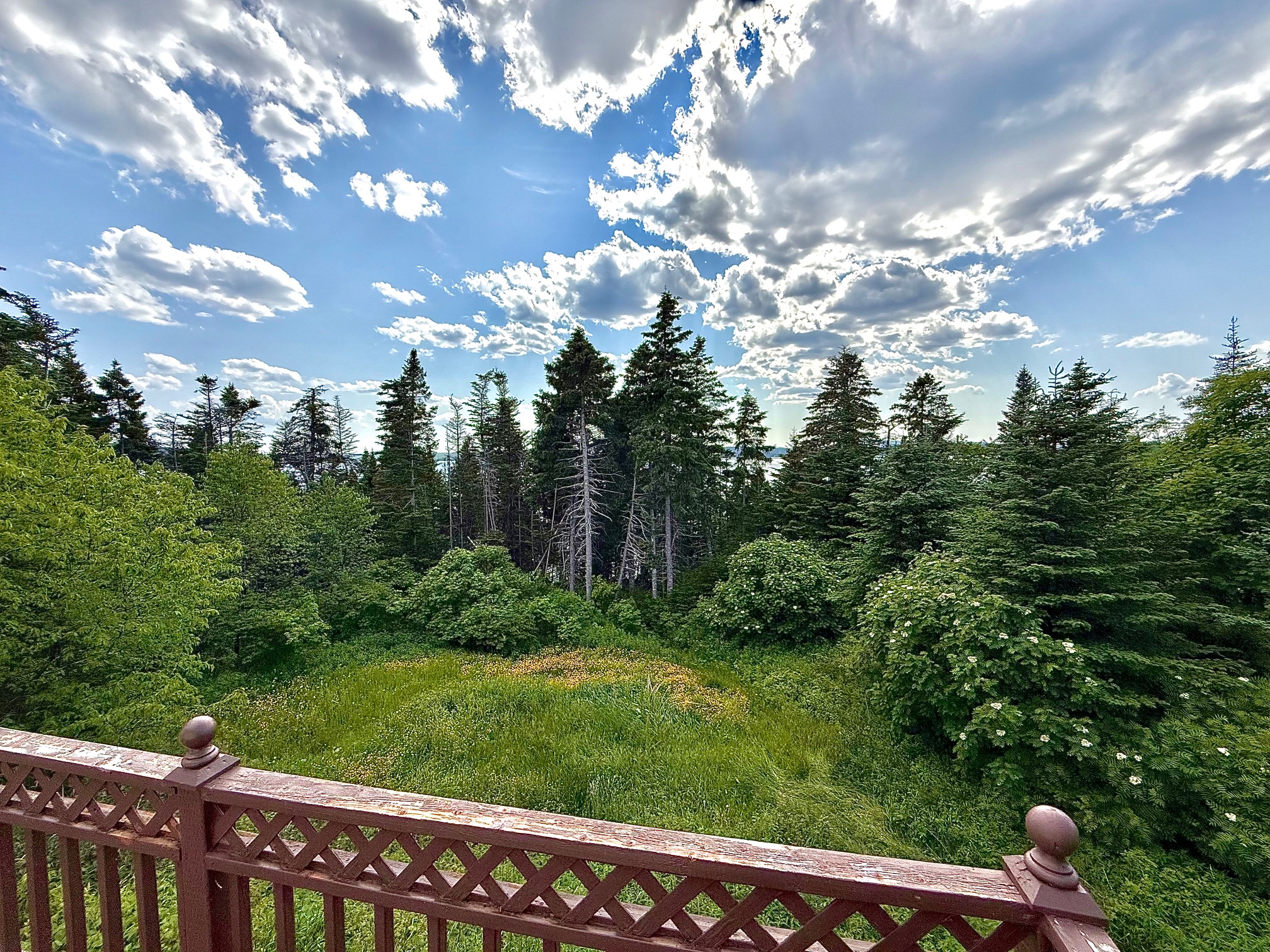 33 OCEANVIEW CRESCENT, BROOKLYN, Newfoundland, Canada A0C 1V0, ,1 BathroomBathrooms,Residential,For Sale,OCEANVIEW CRESCENT,6087