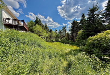 33 OCEANVIEW CRESCENT, BROOKLYN, Newfoundland, Canada A0C 1V0, ,1 BathroomBathrooms,Residential,For Sale,OCEANVIEW CRESCENT,6087