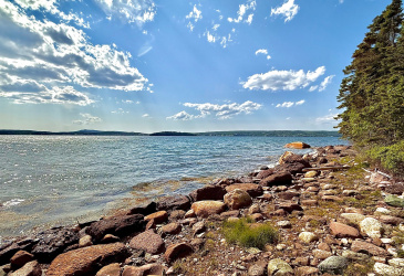 33 OCEANVIEW CRESCENT, BROOKLYN, Newfoundland, Canada A0C 1V0, ,1 BathroomBathrooms,Residential,For Sale,OCEANVIEW CRESCENT,6087