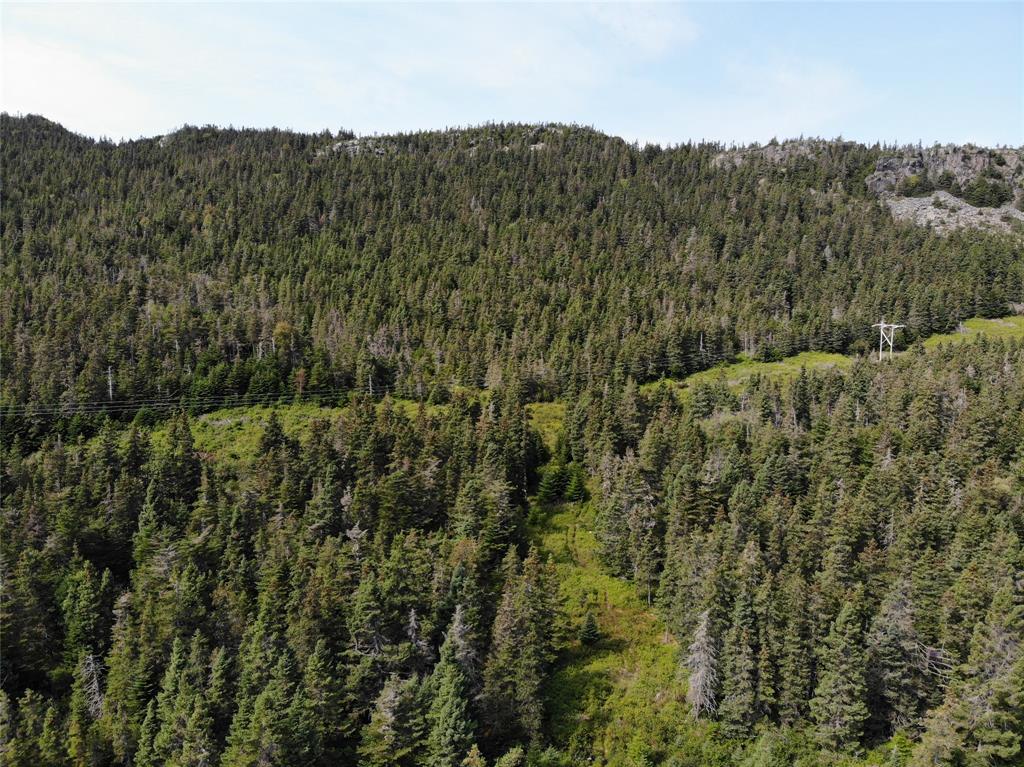 136 MAIN STREET, CLARKE'S BEACH, Newfoundland, Canada A0A 1W0, ,0,Land,For Sale,MAIN STREET,6090