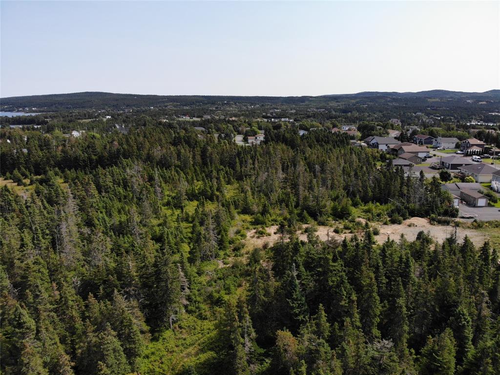 136 MAIN STREET, CLARKE'S BEACH, Newfoundland, Canada A0A 1W0, ,0,Land,For Sale,MAIN STREET,6090