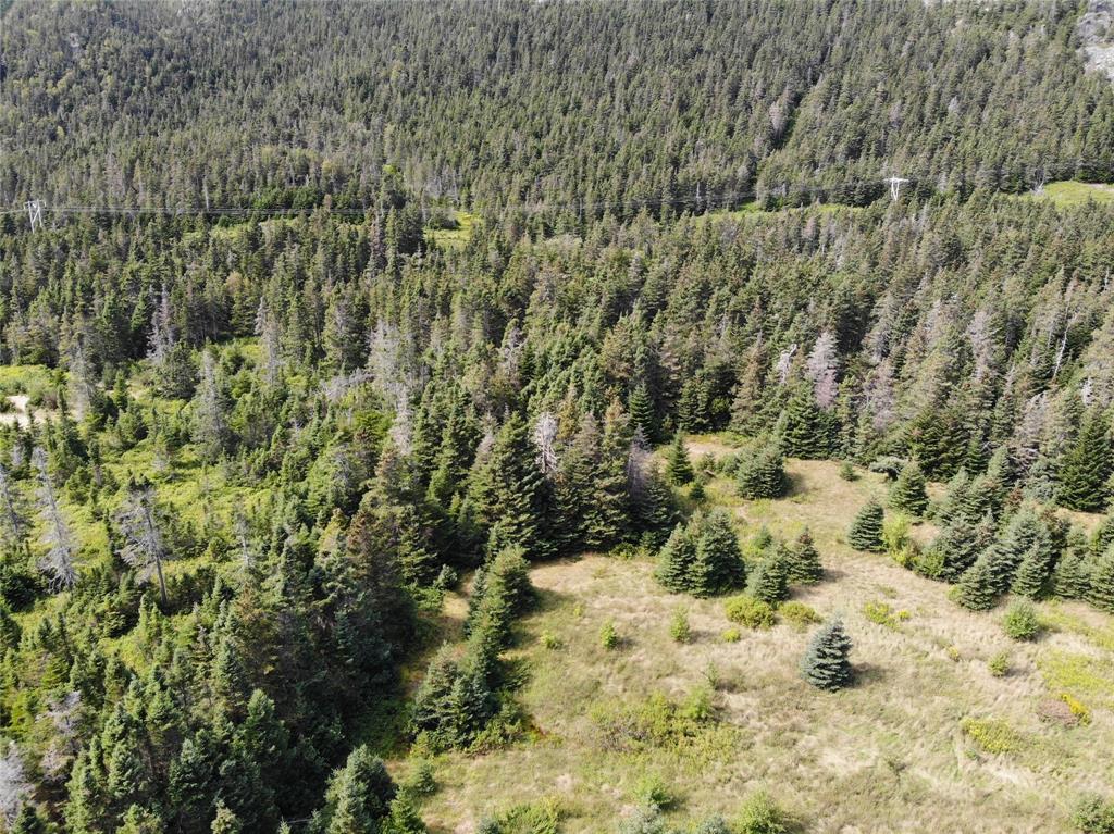 136 MAIN STREET, CLARKE'S BEACH, Newfoundland, Canada A0A 1W0, ,0,Land,For Sale,MAIN STREET,6090