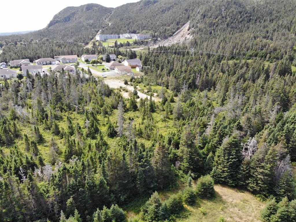 136 MAIN STREET, CLARKE'S BEACH, Newfoundland, Canada A0A 1W0, ,0,Land,For Sale,MAIN STREET,6090