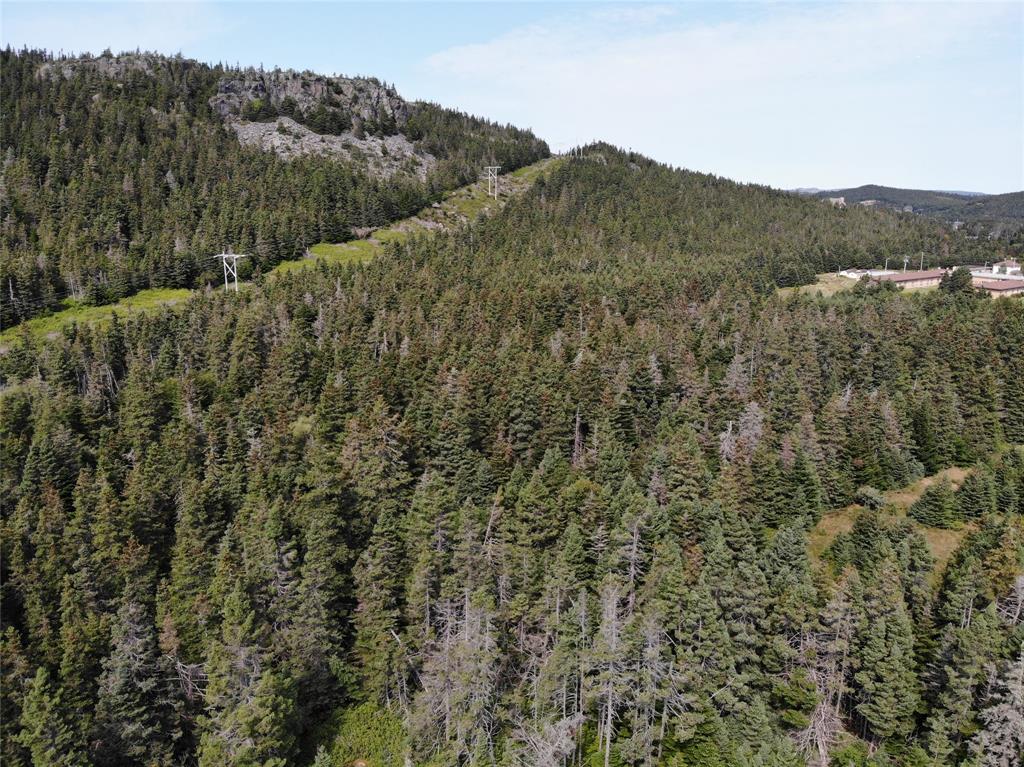 136 MAIN STREET, CLARKE'S BEACH, Newfoundland, Canada A0A 1W0, ,0,Land,For Sale,MAIN STREET,6090