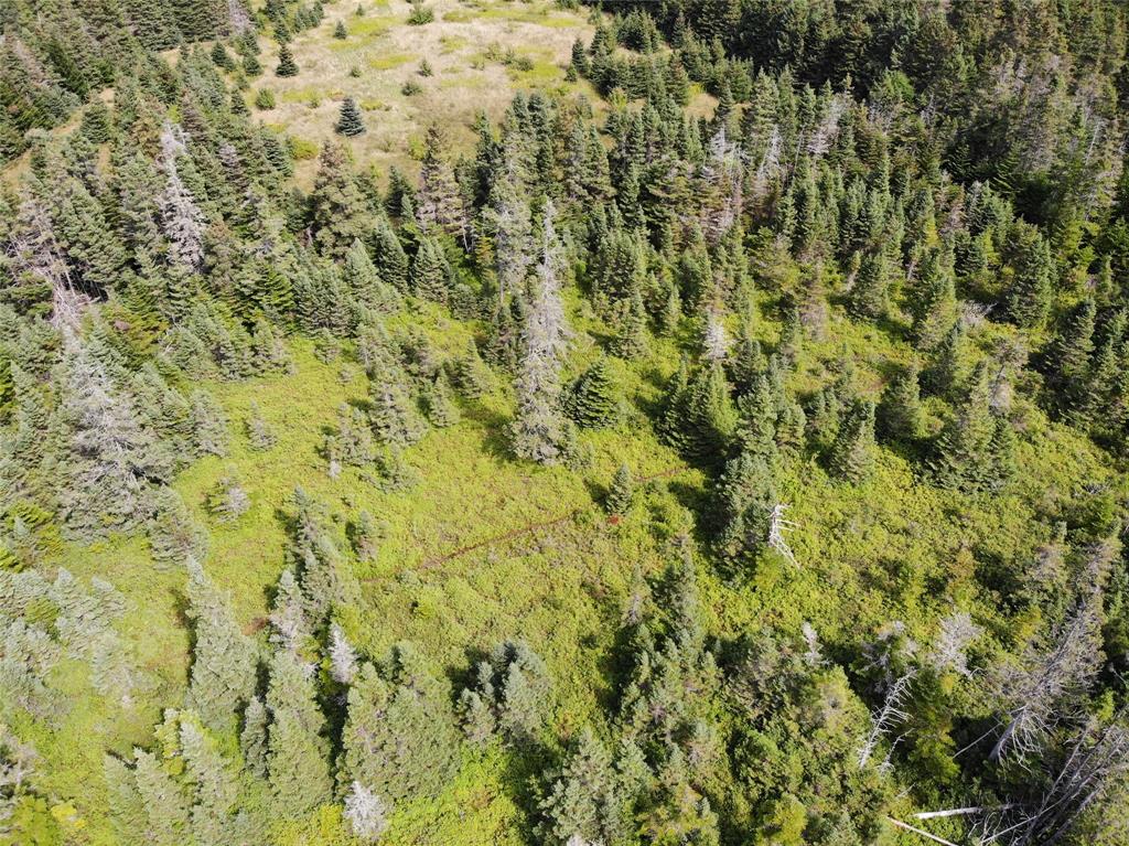 136 MAIN STREET, CLARKE'S BEACH, Newfoundland, Canada A0A 1W0, ,0,Land,For Sale,MAIN STREET,6090