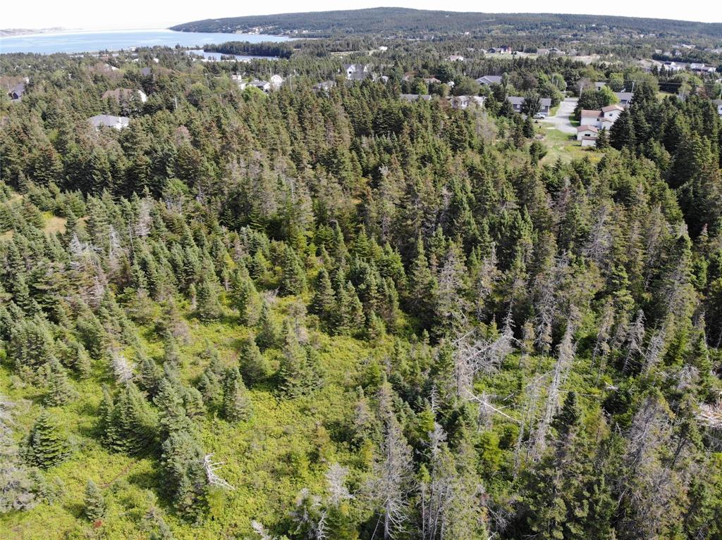 136 MAIN STREET, CLARKE'S BEACH, Newfoundland, Canada A0A 1W0, ,0,Land,For Sale,MAIN STREET,6090
