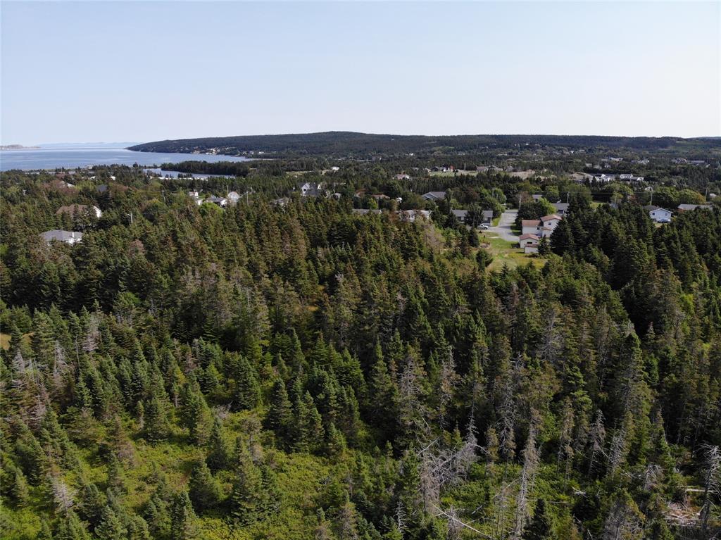136 MAIN STREET, CLARKE'S BEACH, Newfoundland, Canada A0A 1W0, ,0,Land,For Sale,MAIN STREET,6090