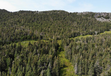 136 MAIN STREET, CLARKE'S BEACH, Newfoundland, Canada A0A 1W0, ,0,Land,For Sale,MAIN STREET,6090 136 MAIN STREET, CLARKE'S BEACH, Newfoundland, Canada A0A 1W0, ,0,Land,For Sale,MAIN STREET,6090