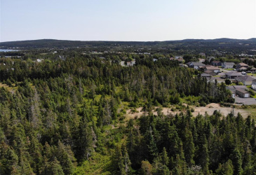 136 MAIN STREET, CLARKE'S BEACH, Newfoundland, Canada A0A 1W0, ,0,Land,For Sale,MAIN STREET,6090 136 MAIN STREET, CLARKE'S BEACH, Newfoundland, Canada A0A 1W0, ,0,Land,For Sale,MAIN STREET,6090