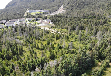 136 MAIN STREET, CLARKE'S BEACH, Newfoundland, Canada A0A 1W0, ,0,Land,For Sale,MAIN STREET,6090 136 MAIN STREET, CLARKE'S BEACH, Newfoundland, Canada A0A 1W0, ,0,Land,For Sale,MAIN STREET,6090