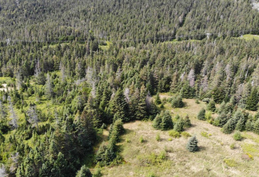 136 MAIN STREET, CLARKE'S BEACH, Newfoundland, Canada A0A 1W0, ,0,Land,For Sale,MAIN STREET,6090 136 MAIN STREET, CLARKE'S BEACH, Newfoundland, Canada A0A 1W0, ,0,Land,For Sale,MAIN STREET,6090