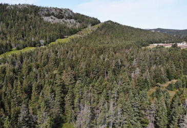 136 MAIN STREET, CLARKE'S BEACH, Newfoundland, Canada A0A 1W0, ,0,Land,For Sale,MAIN STREET,6090 136 MAIN STREET, CLARKE'S BEACH, Newfoundland, Canada A0A 1W0, ,0,Land,For Sale,MAIN STREET,6090