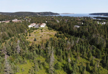 136 MAIN STREET, CLARKE'S BEACH, Newfoundland, Canada A0A 1W0, ,0,Land,For Sale,MAIN STREET,6090 136 MAIN STREET, CLARKE'S BEACH, Newfoundland, Canada A0A 1W0, ,0,Land,For Sale,MAIN STREET,6090
