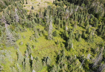 136 MAIN STREET, CLARKE'S BEACH, Newfoundland, Canada A0A 1W0, ,0,Land,For Sale,MAIN STREET,6090 136 MAIN STREET, CLARKE'S BEACH, Newfoundland, Canada A0A 1W0, ,0,Land,For Sale,MAIN STREET,6090