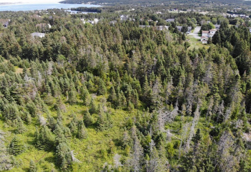 136 MAIN STREET, CLARKE'S BEACH, Newfoundland, Canada A0A 1W0, ,0,Land,For Sale,MAIN STREET,6090 136 MAIN STREET, CLARKE'S BEACH, Newfoundland, Canada A0A 1W0, ,0,Land,For Sale,MAIN STREET,6090