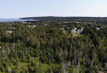 136 MAIN STREET, CLARKE'S BEACH, Newfoundland, Canada A0A 1W0, ,0,Land,For Sale,MAIN STREET,6090 136 MAIN STREET, CLARKE'S BEACH, Newfoundland, Canada A0A 1W0, ,0,Land,For Sale,MAIN STREET,6090