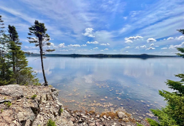 1294542 GOOSE BAY DRIVE, MUSGRAVETOWN, Newfoundland, Canada A0C 1Z0, ,0,Land,For Sale,GOOSE BAY DRIVE,6099