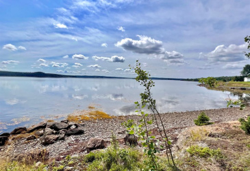 1294542 GOOSE BAY DRIVE, MUSGRAVETOWN, Newfoundland, Canada A0C 1Z0, ,0,Land,For Sale,GOOSE BAY DRIVE,6099