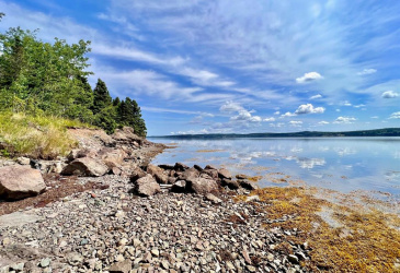 1294542 GOOSE BAY DRIVE, MUSGRAVETOWN, Newfoundland, Canada A0C 1Z0, ,0,Land,For Sale,GOOSE BAY DRIVE,6099