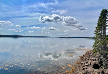 1294542 GOOSE BAY DRIVE, MUSGRAVETOWN, Newfoundland, Canada A0C 1Z0, ,0,Land,For Sale,GOOSE BAY DRIVE,6099