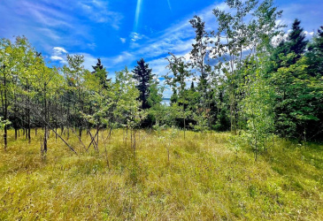 1294542 GOOSE BAY DRIVE, MUSGRAVETOWN, Newfoundland, Canada A0C 1Z0, ,0,Land,For Sale,GOOSE BAY DRIVE,6099