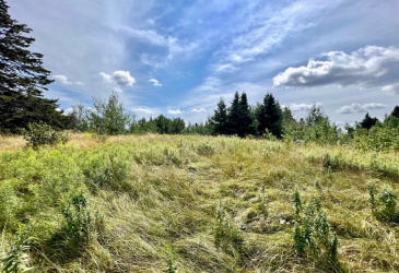 1294542 GOOSE BAY DRIVE, MUSGRAVETOWN, Newfoundland, Canada A0C 1Z0, ,0,Land,For Sale,GOOSE BAY DRIVE,6099