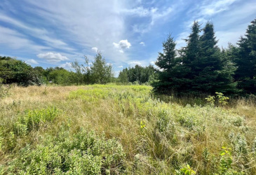 1294542 GOOSE BAY DRIVE, MUSGRAVETOWN, Newfoundland, Canada A0C 1Z0, ,0,Land,For Sale,GOOSE BAY DRIVE,6099