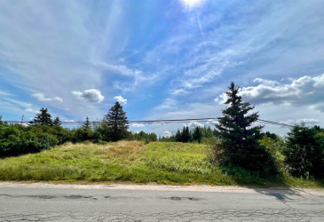 1294542 GOOSE BAY DRIVE, MUSGRAVETOWN, Newfoundland, Canada A0C 1Z0, ,0,Land,For Sale,GOOSE BAY DRIVE,6099