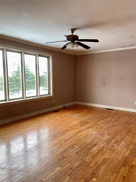 97 MARKLAND ROAD, MARKLAND, Newfoundland, Canada A0B 2K0, ,2 BathroomsBathrooms,Residential,Sale Pending,MARKLAND ROAD,6100