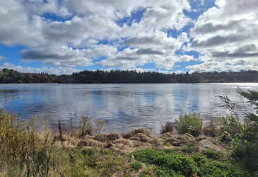 883 VILLE MARIE DRIVE, MARYSTOWN, Newfoundland, Canada A0E 2M0, ,2 BathroomsBathrooms,Residential,For Sale,VILLE MARIE DRIVE,6101 883 VILLE MARIE DRIVE, MARYSTOWN, Newfoundland, Canada A0E 2M0, ,2 BathroomsBathrooms,Residential,For Sale,VILLE MARIE DRIVE,6101