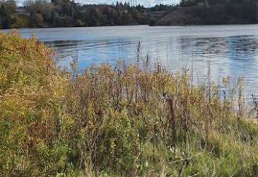 883 VILLE MARIE DRIVE, MARYSTOWN, Newfoundland, Canada A0E 2M0, ,2 BathroomsBathrooms,Residential,For Sale,VILLE MARIE DRIVE,6101 883 VILLE MARIE DRIVE, MARYSTOWN, Newfoundland, Canada A0E 2M0, ,2 BathroomsBathrooms,Residential,For Sale,VILLE MARIE DRIVE,6101