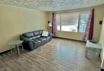 111 MARINE DRIVE, CLARENVILLE, Newfoundland, Canada A5A 1M6, ,2 BathroomsBathrooms,Residential,For Sale,MARINE DRIVE,6103