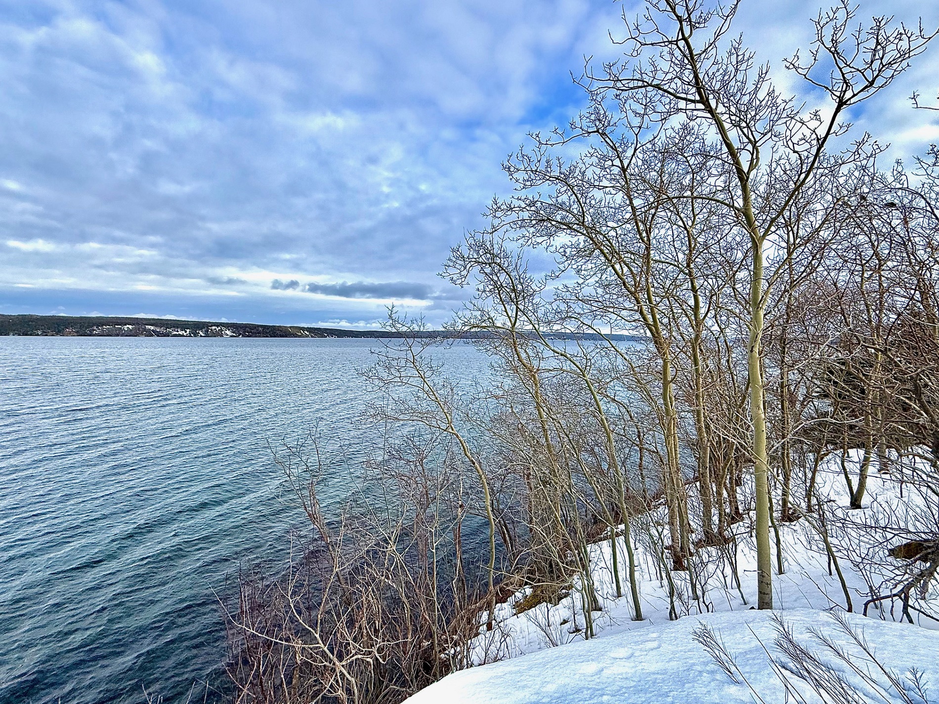 117 MARINE DRIVE, CLARENVILLE, Newfoundland, Canada A5A 1M6, ,0,Residential,For Sale,MARINE DRIVE,6104