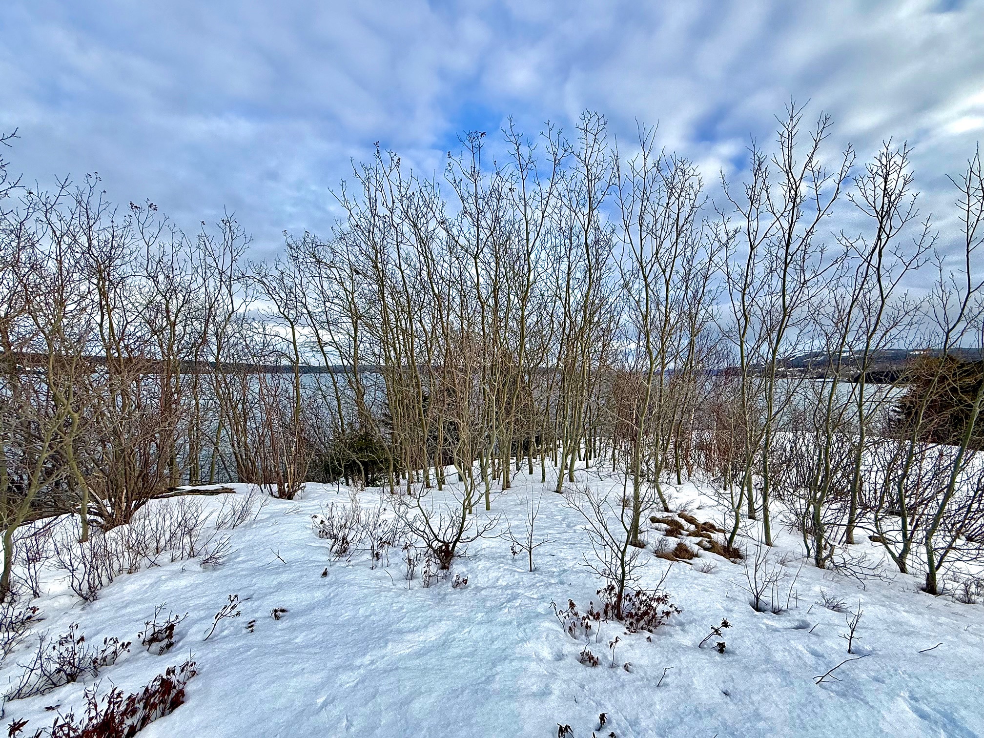 117 MARINE DRIVE, CLARENVILLE, Newfoundland, Canada A5A 1M6, ,0,Residential,For Sale,MARINE DRIVE,6104