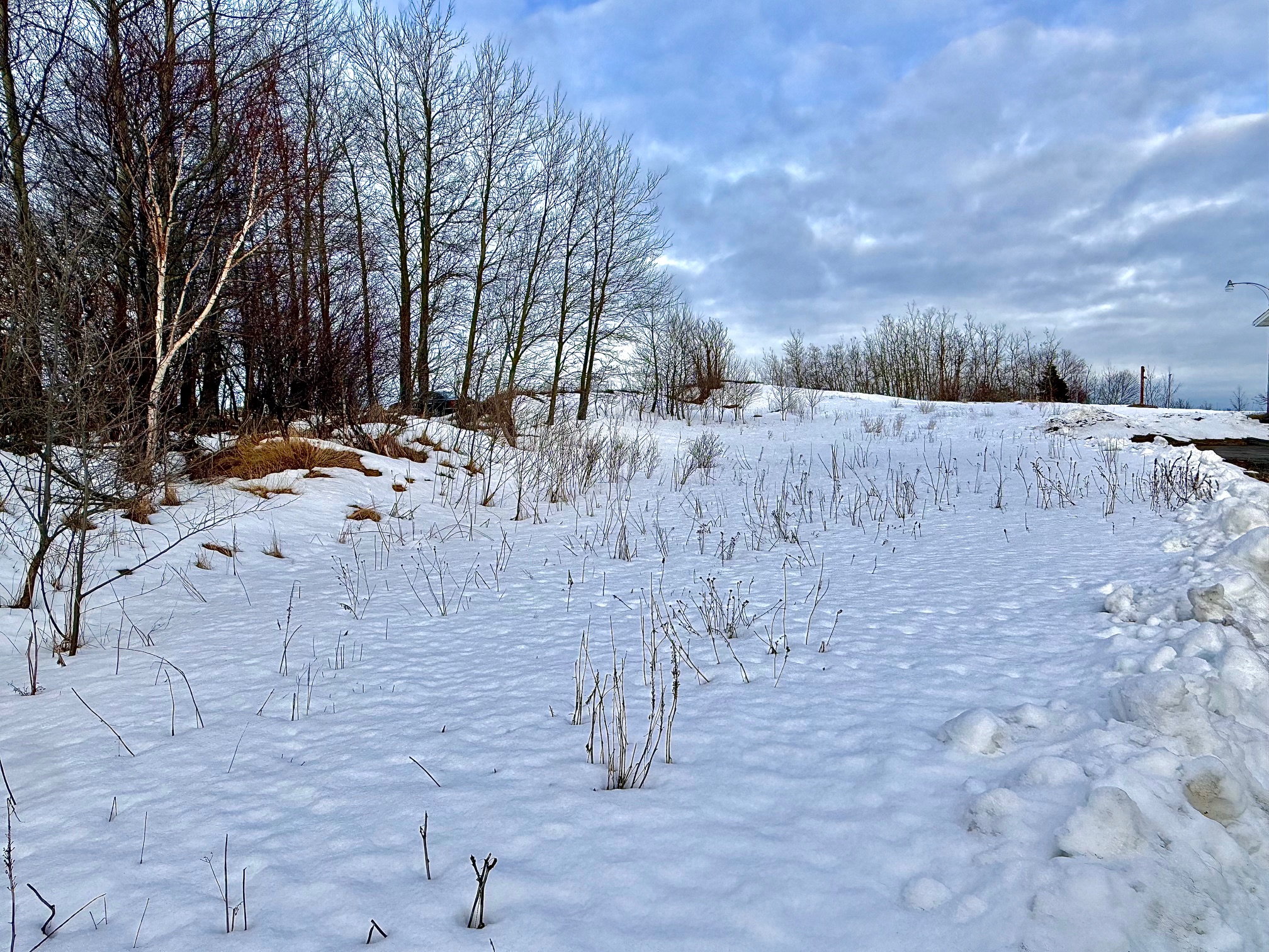 117 MARINE DRIVE, CLARENVILLE, Newfoundland, Canada A5A 1M6, ,0,Residential,For Sale,MARINE DRIVE,6104