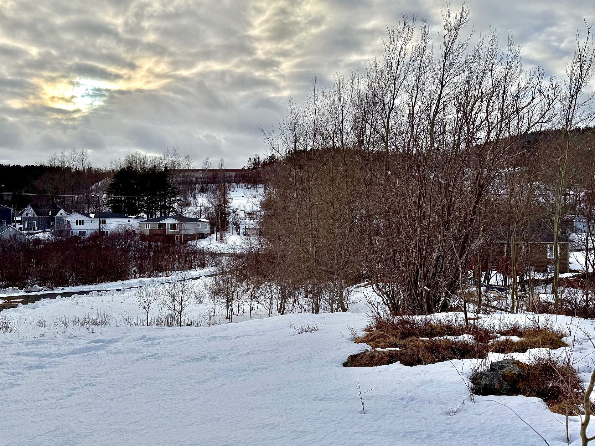 117 MARINE DRIVE, CLARENVILLE, Newfoundland, Canada A5A 1M6, ,0,Residential,For Sale,MARINE DRIVE,6104